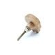 Kids Handmade Mango Wood Lion Knob